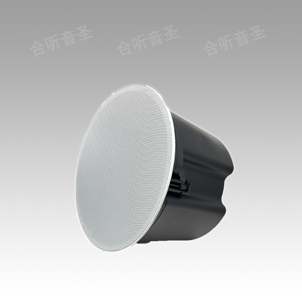 6.5寸HIFI级会议吸顶音箱（功率选择）