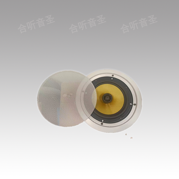 80W会议吸顶音箱