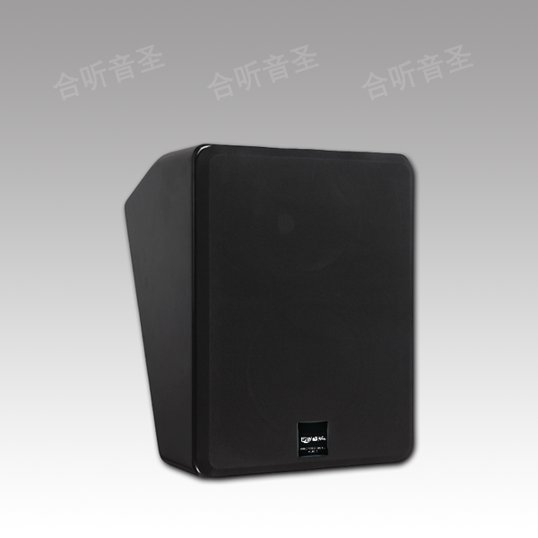 HT系列-影音音箱8寸