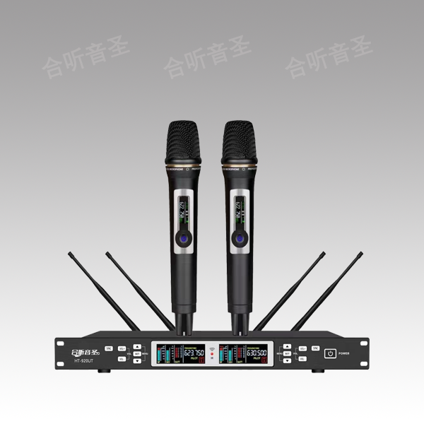 真分集无线话筒（自带充电