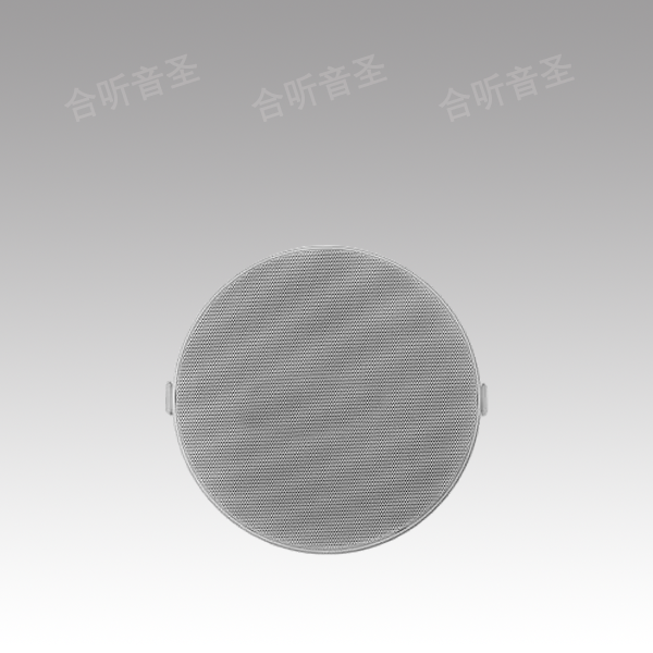 窄边天花喇叭